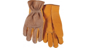 牛青駁掌駕車款